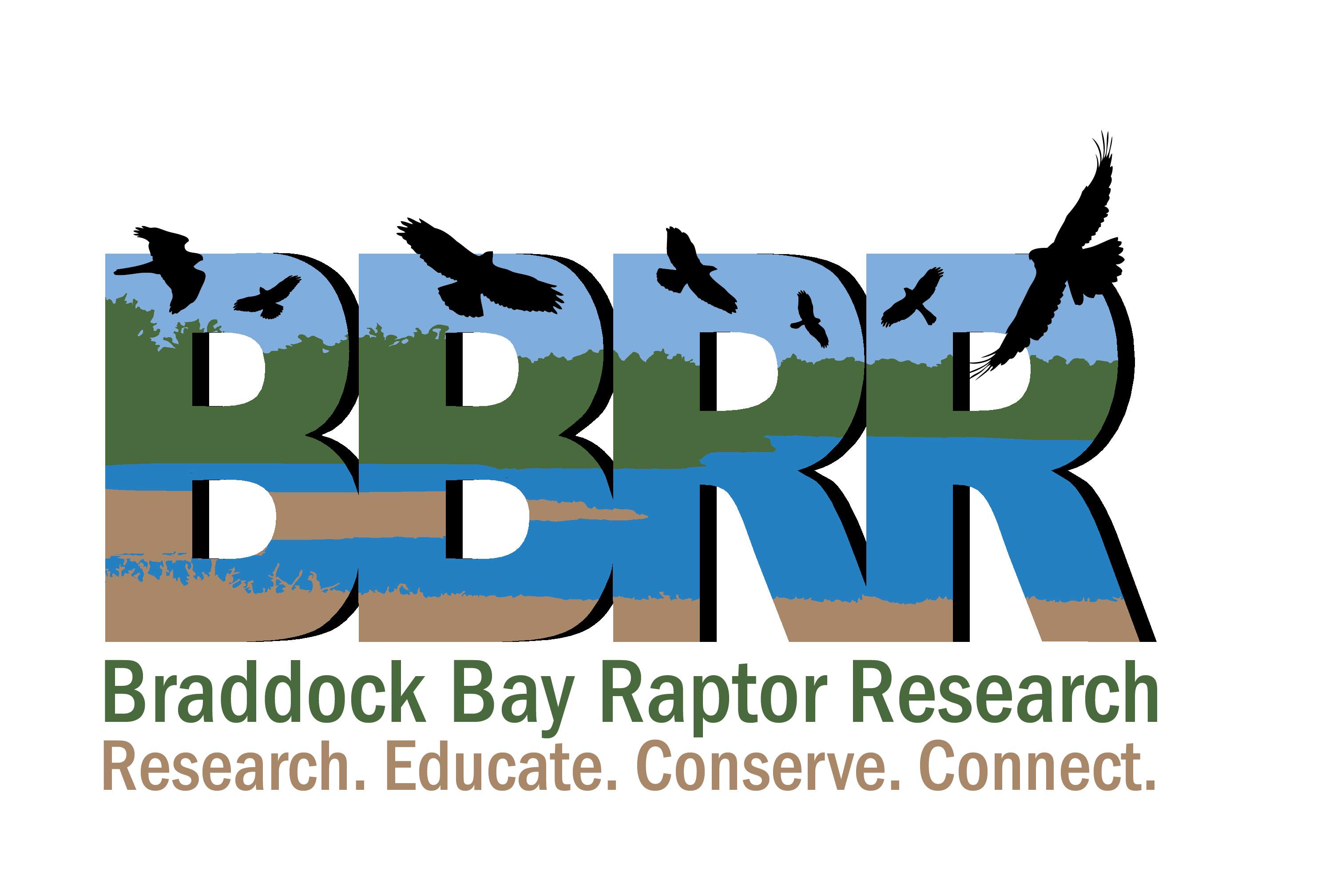 Braddock Bay Raptor Research