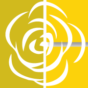 Yellow Tea Rose Foundation Inc