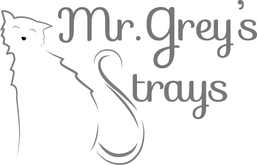 Mr Grey's Strays