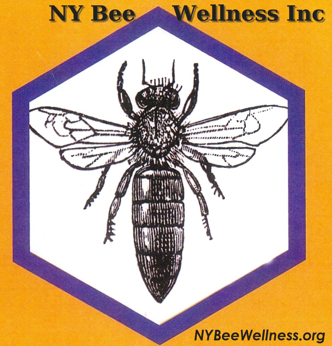 NY Bee Wellness