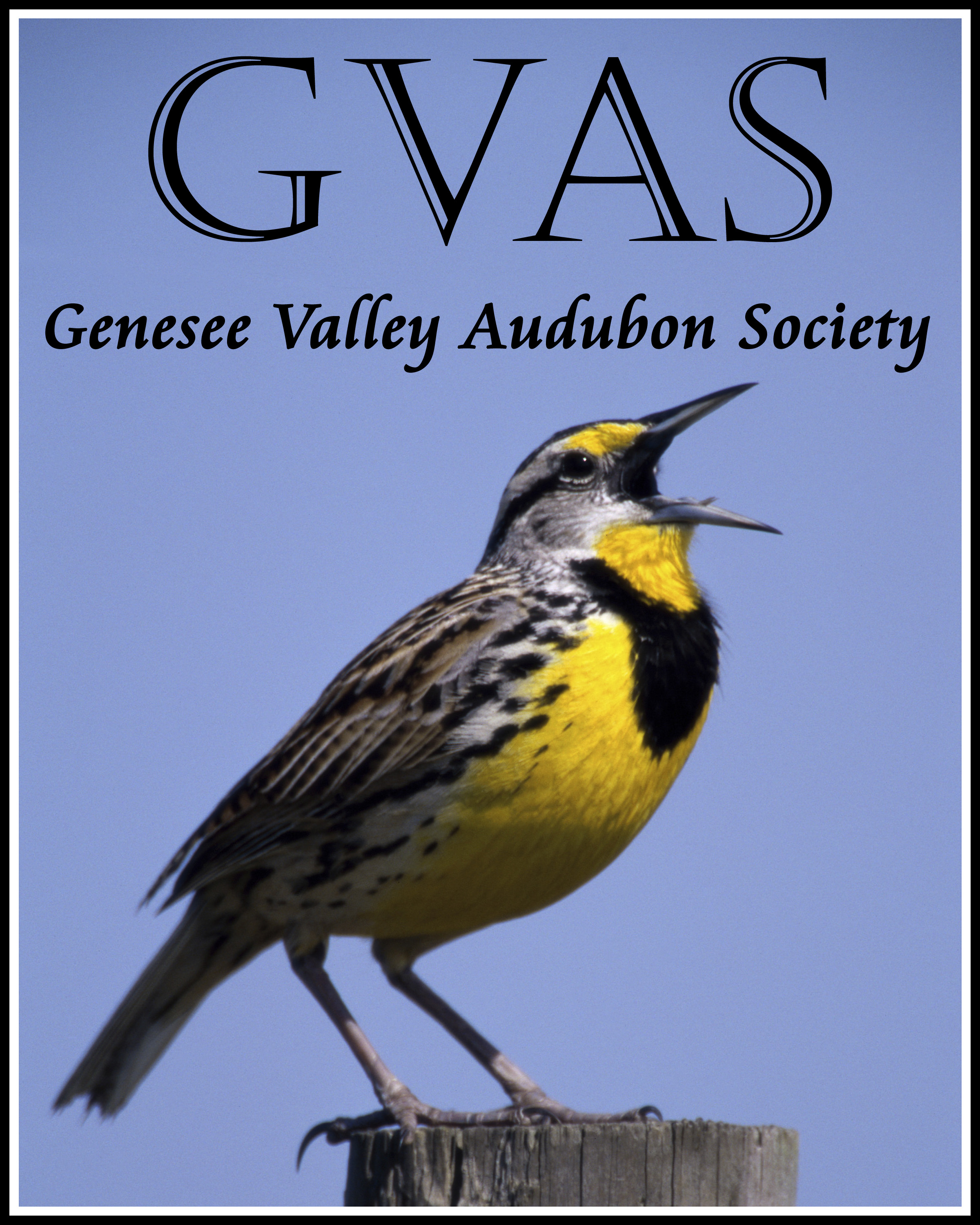Genesee Valley Audubon Society